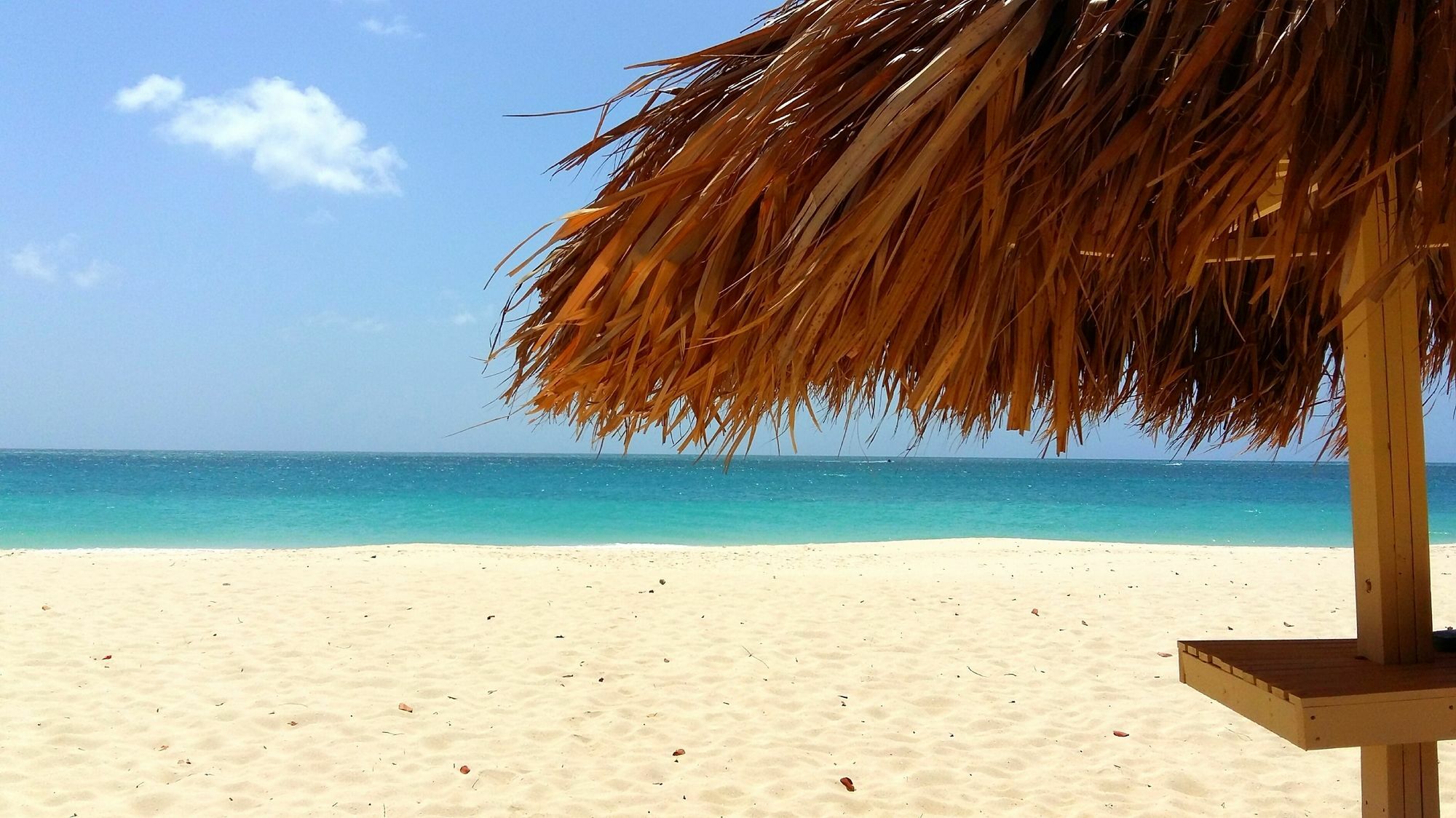 Dorado Eagle Beach Hotel Oranjestad Esterno foto